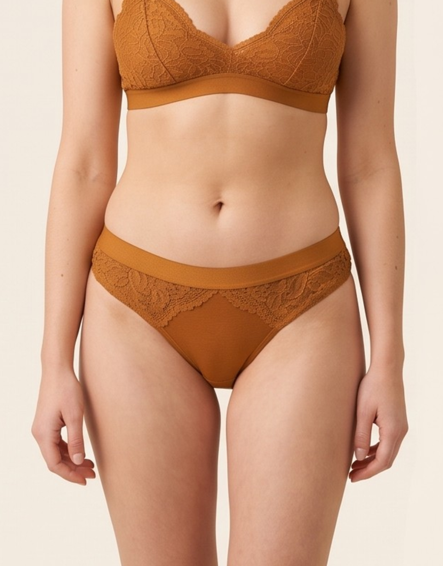 Dream Lace Brief - Bronze