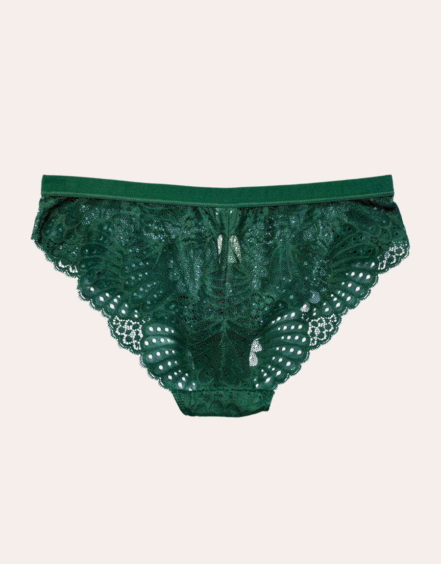 Scallop Lace Brief - Forest Green